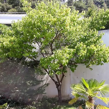 Leaf & Sea Villa Kalandra